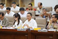 Wali Kota Batam dan Juga Kepala BP Batam Amsakar Achmad dan Wakil Wali Kota Batam Li Claudia RDP dengan DPR. Foto:Humas BP
