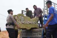 Petugas tengah evakuasi barang di Rempang Galang, Tanjung Banon, Selasa (15/7/2025). Foto:Ist