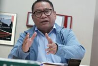 Deputi Investasi dan Pengusahaan BP Batam, Fary Francis. Foto:Humas BP Batam