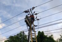 Petugas PLN Batam saat melakukan perbaikan di salah satu gardu listrik yang ada di wilayah Tanjung Piayu, Sei Beduk Kota Batam, Rabu (3/9/2025).Matapedia6.com/Dok PLN