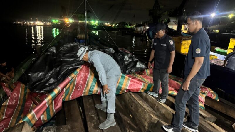 Petugas Bakamla dan Kemenhut tengah periksa kayu ilegal di Sagulung beberapa hari lalu. Foto:Bakamla RI