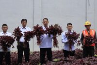 Kalapas Batam Yosafat Rizanto tengah panen sayur hasil warga binaan, Senin (13/10/2025). Foto:Istimewa