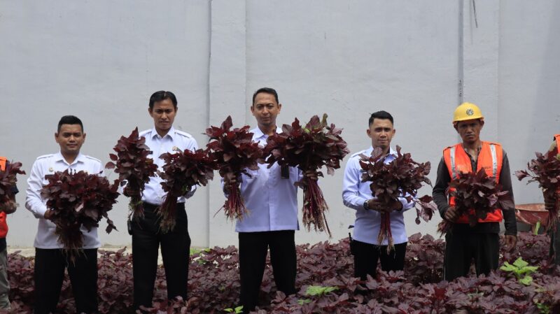 Kalapas Batam Yosafat Rizanto tengah panen sayur hasil warga binaan, Senin (13/10/2025). Foto:Istimewa