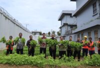 Lapas Batam panen sayur hasil kegiatan warga binaan, Kamis (23/10/2025). Foto:Istimewa