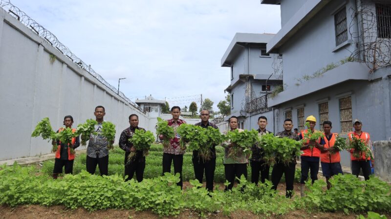Lapas Batam panen sayur hasil kegiatan warga binaan, Kamis (23/10/2025). Foto:Istimewa