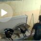 Screenshot video CCTV yang disebar warga pelaku pencurian dua biji tabung gas di daerah Botania, Kota Batam, Sabtu (11/10/2025). Matapedia6.com/Istimewa