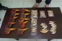 Satwa langka diamankan Bea cukai Batam. Foto:Istimewa
