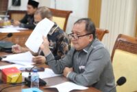 Ketua Komisi IV DPRD Kota Batam DANDIS Rajagukguk saat memberikan dalam rapat Dengar pendapat di ruang Rapat Komisi IV DPRD Batam, Kamis (20/11/2025). Matapedia6.com/Dok DPRD Batam