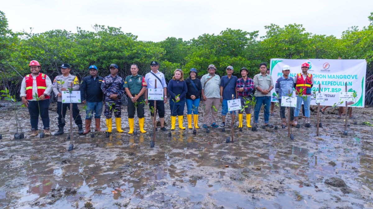 Tanam Ribuan Mangrove, PT BSP Buktikan Komitmen Hijau di KEK Tanjung Sau. Foto:Ist