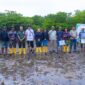 Tanam Ribuan Mangrove, PT BSP Buktikan Komitmen Hijau di KEK Tanjung Sau. Foto:Ist