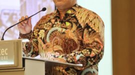Anggota/Deputi Bidang Investasi dan Pengusahaan BP Batam, Fary Francis. Foto:Humas BP Batam