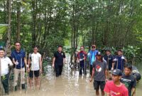 PSDKP Batam menanam pohon mangrove bersama akar bumi di Sei Beduk, Jumat (21/11/2025). Foto:Zalfirega /matapedia