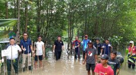 PSDKP Batam menanam pohon mangrove bersama akar bumi di Sei Beduk, Jumat (21/11/2025). Foto:Zalfirega /matapedia
