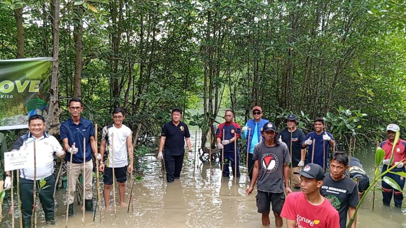 PSDKP Batam menanam pohon mangrove bersama akar bumi di Sei Beduk, Jumat (21/11/2025). Foto:Zalfirega /matapedia