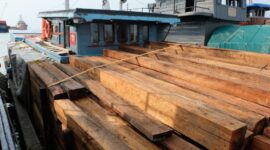 Tim Patroli Laut Bea Cukai Batam menghentikan KM Rasidin di Perairan Pulau Hangop dan menemukan muatan kayu balok tanpa satu pun dokumen resmi. Foto:Ist