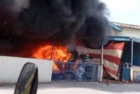 Sijogo merah hanguskan gudang penyimpanan jeruk manis impor milik PT Presco Natural Anugrah yang berlokasi di Kawasan Industri Union, Kecamatan Batu Ampar, Kota Batam, ludes dilalap si jago merah, Jumat (16/1/2026) pagi. Matapedia6.com/Istimewa