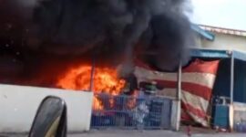 Sijogo merah hanguskan gudang penyimpanan jeruk manis impor milik PT Presco Natural Anugrah yang berlokasi di Kawasan Industri Union, Kecamatan Batu Ampar, Kota Batam, ludes dilalap si jago merah, Jumat (16/1/2026) pagi. Matapedia6.com/Istimewa