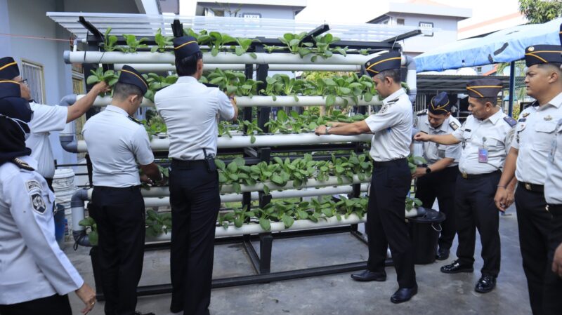 Lapas Batam penen sayur hasil pembinaan beberapa hari lalu. Foto:istimewa