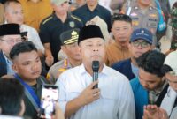 Ketua DPRD Provinsi Kepulauan Riau, Iman Sutiawan. Foto:Istimewa