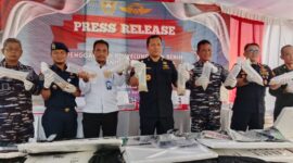 Bea Cukai menunjukan benih lobster yang digagalkan ke Malaysia dalam jumpa pers di Batam, Rabu (4/2/2026). Foto:Dedi/matapedia