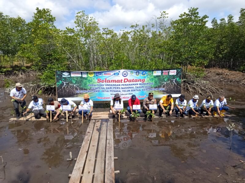 Komunitas Jurnalis Kepri (KJK) memperingati Hari Pers Nasional (HPN) 2026 dengan tanam mangrove di Bintan, Minggu (8/2/2026). Foto:Iman/matapedia