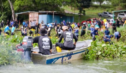 Tim dari bidang perairan BP Batam melakukan pembersihan Eceng gondok yang tumbuh subur di Dam Muka Kuning. Langkah ini untuk memperlambat penurunan debit air di Dam Muka Kuning. Matapedia6.com/Dok BP Batam