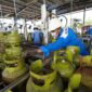 Petugas pertamina Patra Niaga melihatkan gas LPG 3 Kg untuk distribusi ke masyarakat. Foto:Ist