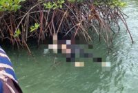 Pria yang nekat melompat dari Jembatan 3 Barelang, ditemukan tak bernyawa di perairan Barelang, Sabtu (21/2/2026) pagi. Foto:Tim SAR