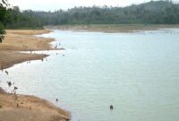 Kondisi waduk Muka Kuning yang sudah mulai membentuk garis pinggir akibat penurunan debit air, dampak musim panas yang terjadi saat ini di Kota Batam, Rabu (11/2/2026). Matapedia6.com/Istimewa