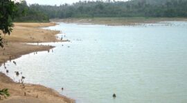 Kondisi waduk Muka Kuning yang sudah mulai membentuk garis pinggir akibat penurunan debit air, dampak musim panas yang terjadi saat ini di Kota Batam, Rabu (11/2/2026). Matapedia6.com/Istimewa