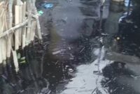 Kondisi limbah minyak hitam pekat yang mencemari pesisir pulau Labuh, Kecamatan Bulang, Kota Batam Provinsi Kepri, Minggu (15/2/2026). Matapedia6.com/Istimewa