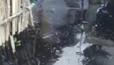 Kondisi limbah minyak hitam pekat yang mencemari pesisir pulau Labuh, Kecamatan Bulang, Kota Batam Provinsi Kepri, Minggu (15/2/2026). Matapedia6.com/Istimewa