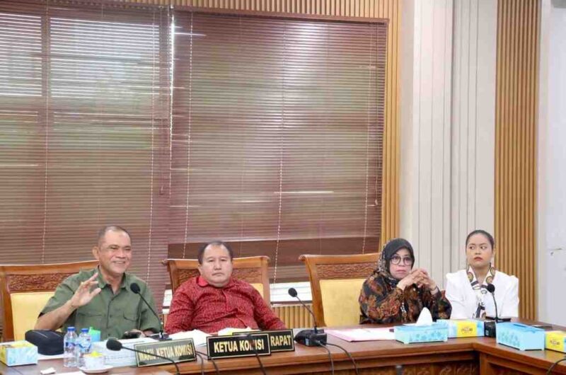 Ketua Komisi IV, Dandis Rajagukguk tengah. Foto:Istimewa