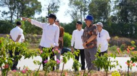 Kepala BP Batam sekaligus Wali Kota Batam Amsakar Achmad saat hari pertama masuk kerja usai Idulfitri, Rabu (25/3/2026). Foto:Istimewa