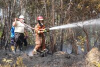 Petugas kebakaran tengah memadamkan api di wilayah Nongsa beberapa hari lalu. Foto:Humas BP Batam