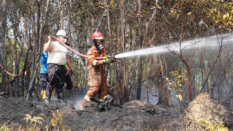 Petugas kebakaran tengah memadamkan api di wilayah Nongsa beberapa hari lalu. Foto:Humas BP Batam