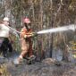 Petugas kebakaran tengah memadamkan api di wilayah Nongsa beberapa hari lalu. Foto:Humas BP Batam