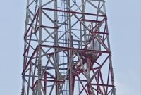 Pria 26 tahun bernama Imam saat duduk santai di atas tower telekomunikasi di belakang masjid Baiturahman Sekupang, Kamis (26/3/2026). Matapedia6.com/Luci