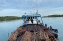 Ditpolairud Polda Kepri menggagalkan penyelundupan sekitar 12.000 batang kayu bakau di perairan Pulau Panjang, Kota Batam, Rabu (22/4/2026). Foto:Humas Polda Kepri