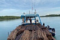 Ditpolairud Polda Kepri menggagalkan penyelundupan sekitar 12.000 batang kayu bakau di perairan Pulau Panjang, Kota Batam, Rabu (22/4/2026). Foto:Humas Polda Kepri