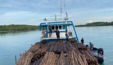 Ditpolairud Polda Kepri menggagalkan penyelundupan sekitar 12.000 batang kayu bakau di perairan Pulau Panjang, Kota Batam, Rabu (22/4/2026). Foto:Humas Polda Kepri