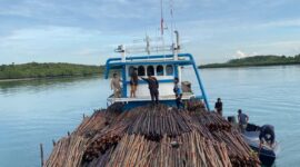 Ditpolairud Polda Kepri menggagalkan penyelundupan sekitar 12.000 batang kayu bakau di perairan Pulau Panjang, Kota Batam, Rabu (22/4/2026). Foto:Humas Polda Kepri