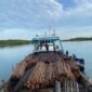 Ditpolairud Polda Kepri menggagalkan penyelundupan sekitar 12.000 batang kayu bakau di perairan Pulau Panjang, Kota Batam, Rabu (22/4/2026). Foto:Humas Polda Kepri