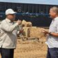 Anggota/Deputi Bidang Investasi BP Batam, Fary Djemy Francis, turun langsung meninjau lapangan dan berdialog dengan pelaku usaha. Foto:dok. Humas BP Batam