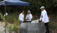 BP Batam kembali mengecam aksi perusakan puluhan tanaman bugenvil di sejumlah titik penataan kota, Selasa (19/5/2026). Foto:Humas BP