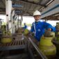 Pertamina tambah pasokan gas elpiji 3 kg di Sumbagut. Foto:Istimewa