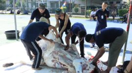 Para warga binaan Lapas Batam menyembelih hewan kurban pada Rabu (27/5/2026). Foto:Istimewa