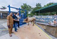 Panbil Group Salurkan 24 Hewan Kurban hingga Pulau Ngenang dan Tanjung Sauh di Batam. Foto:Istimewa