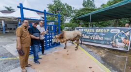 Panbil Group Salurkan 24 Hewan Kurban hingga Pulau Ngenang dan Tanjung Sauh di Batam. Foto:Istimewa