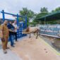 Panbil Group Salurkan 24 Hewan Kurban hingga Pulau Ngenang dan Tanjung Sauh di Batam. Foto:Istimewa